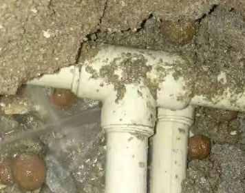 阳江市测漏水多少钱