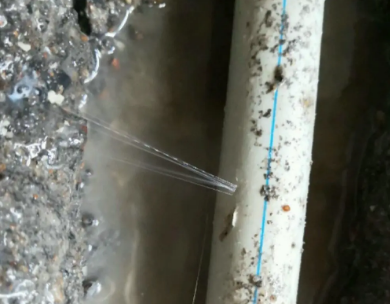 阳江市测漏水哪家好