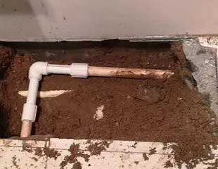 阳江市测漏水哪家好