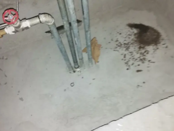 阳江市卫生间测漏水价格明细