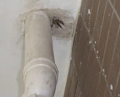 阳江市漏水检测哪家好